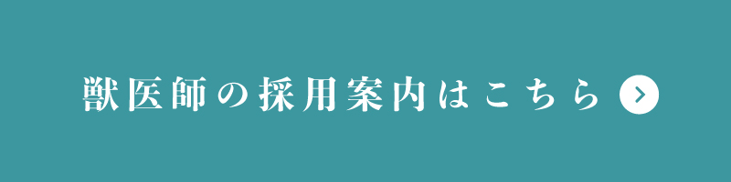 獣医師の採用案内はこちら