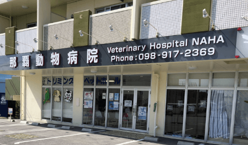 CHURA　那覇店（那覇動物病院） 外観