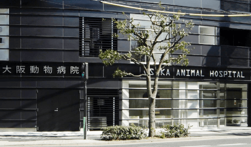 フランテ　大阪店（大阪動物病院） 外観